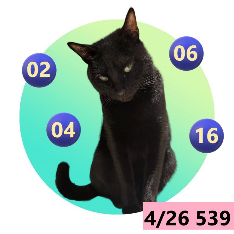 111