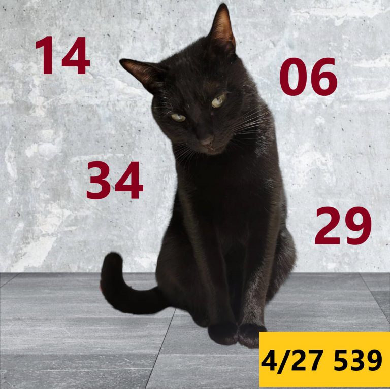 11111