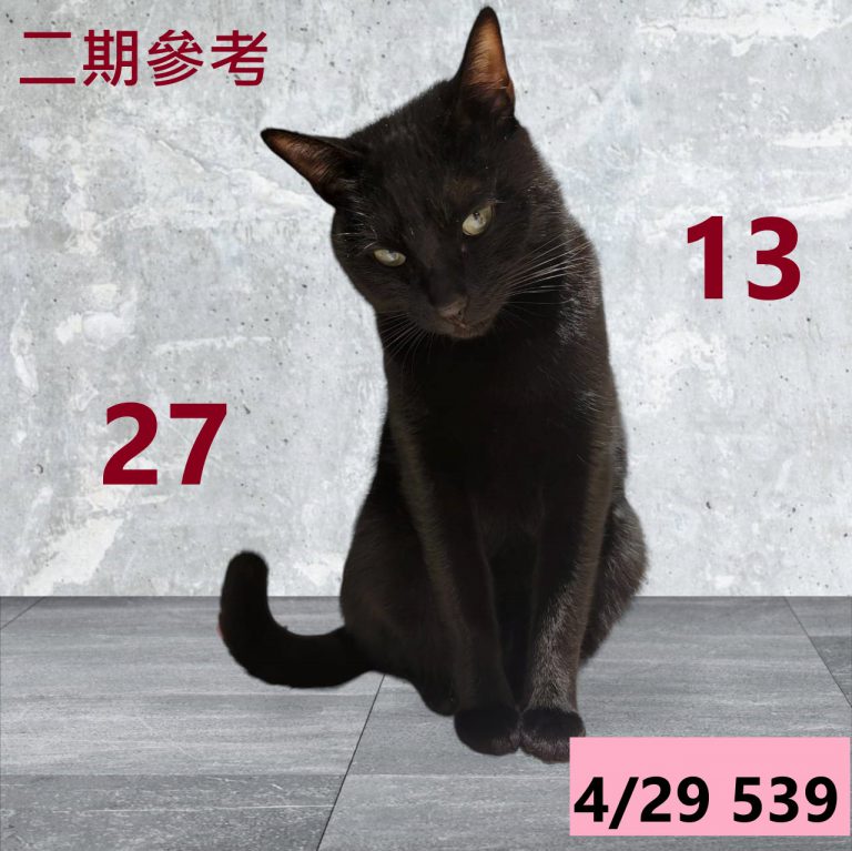 111111-1