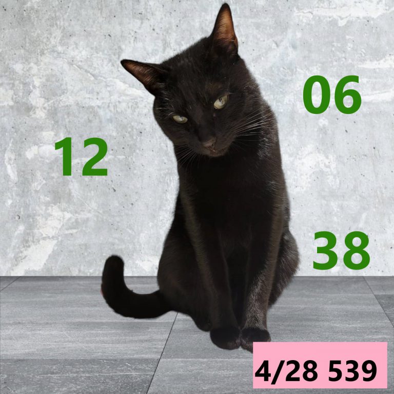 111111