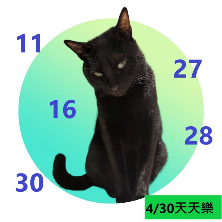 1121212-1