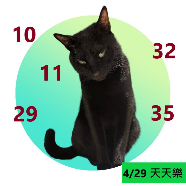1121212