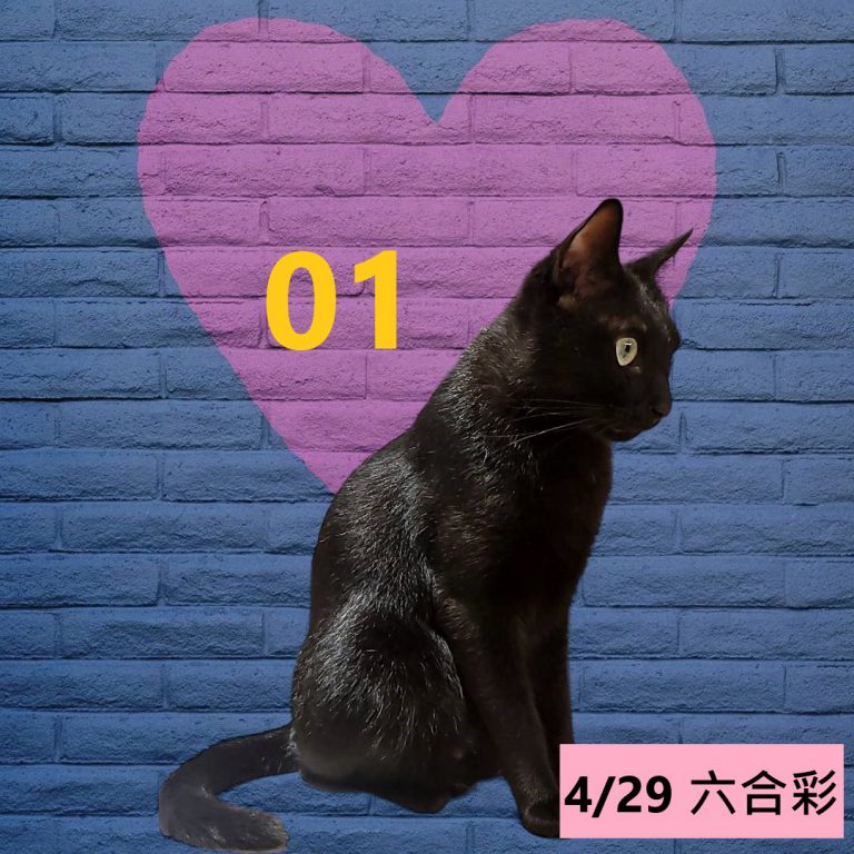 141414