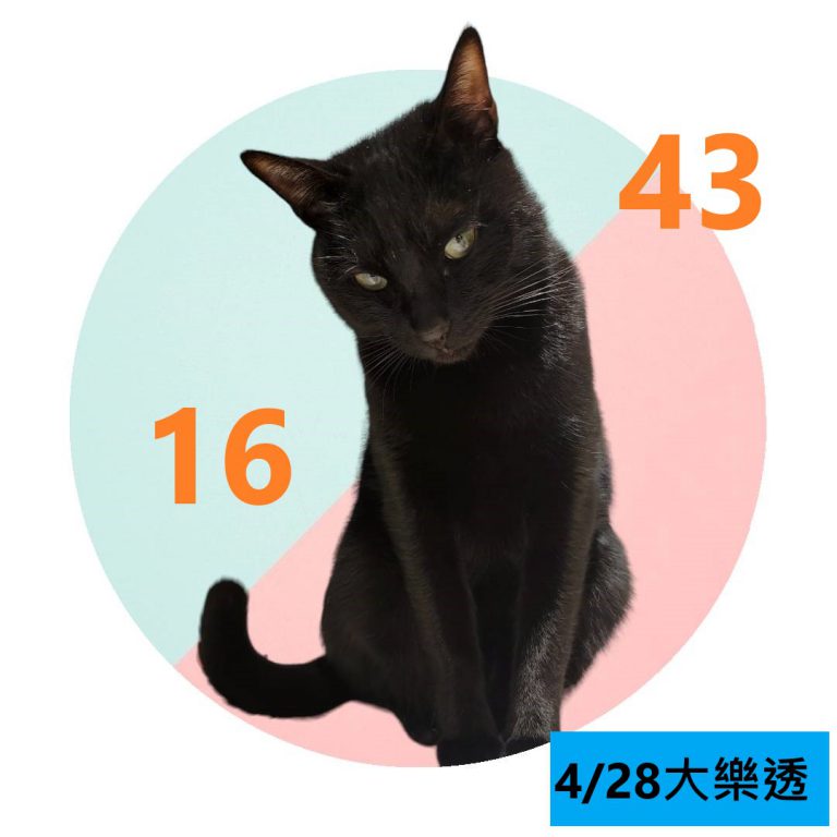 22121