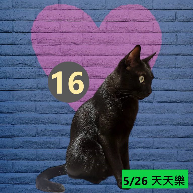 111111-11