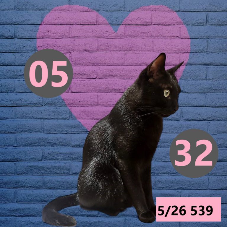 111111-12