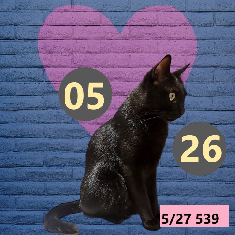 111111-13
