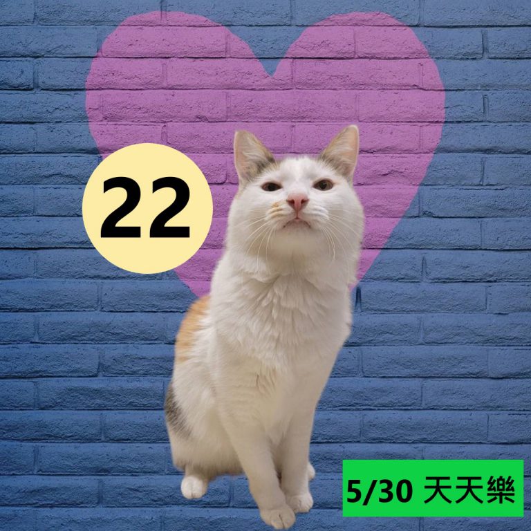 111111-14