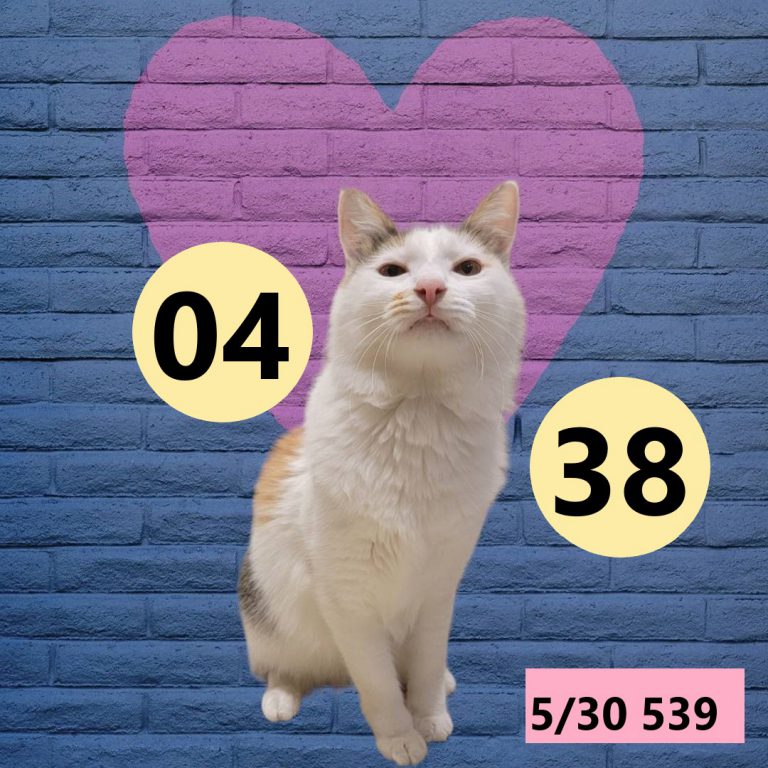 111111-15