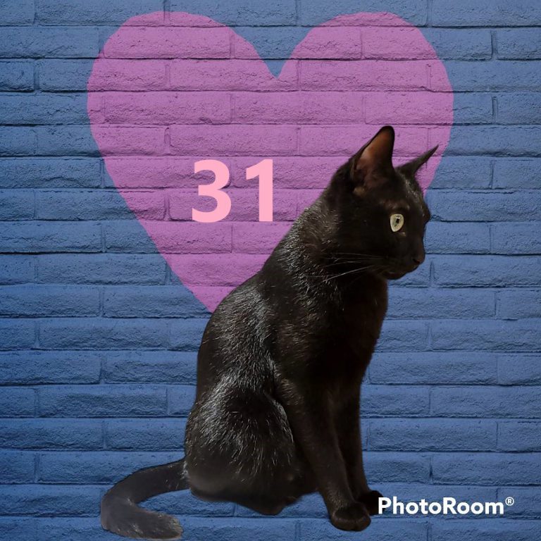 111111-3