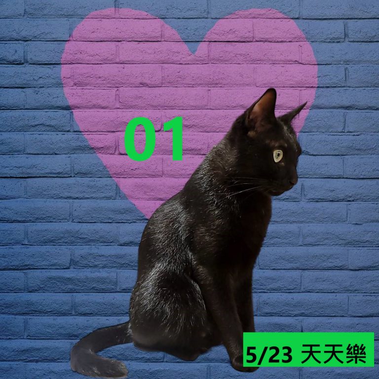 111111-8
