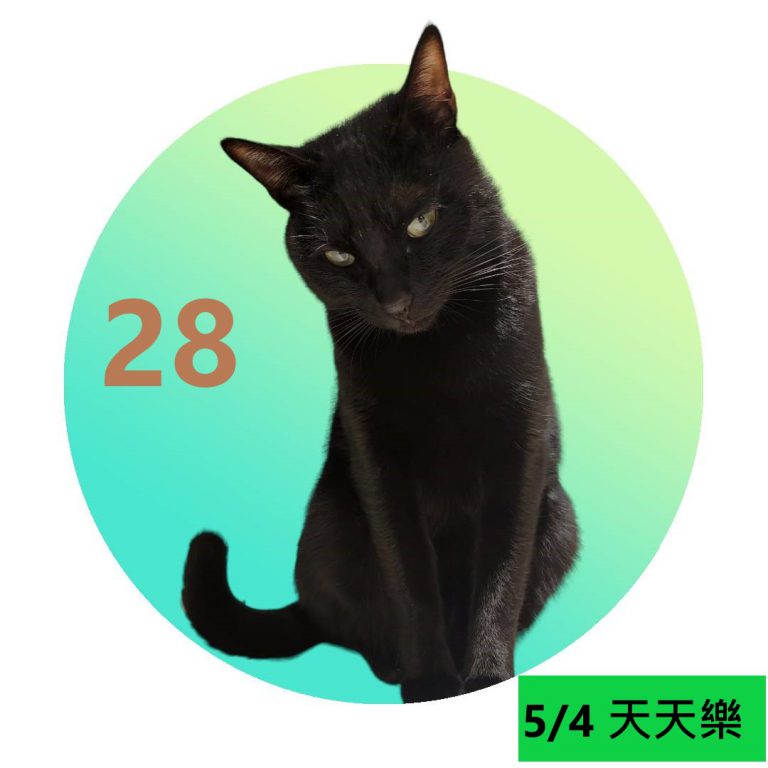1121212-1