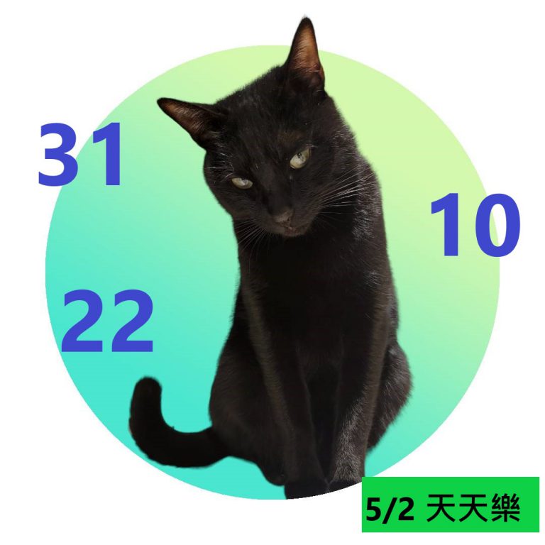 1121212