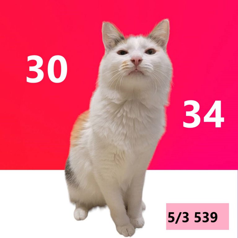 1414-1