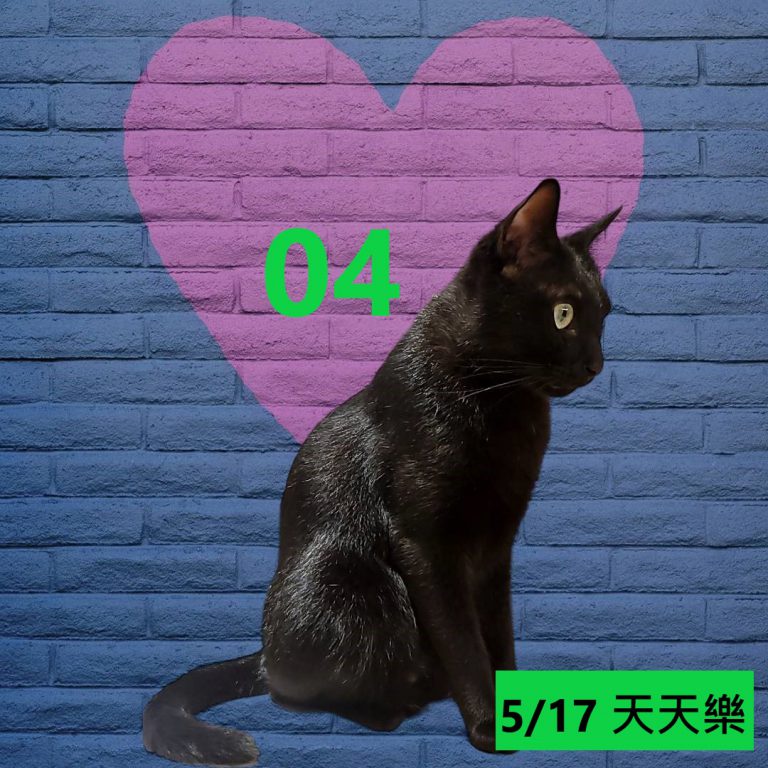 1414-13