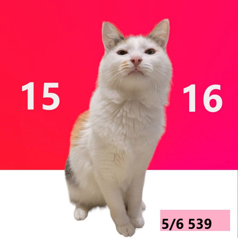 1414-6