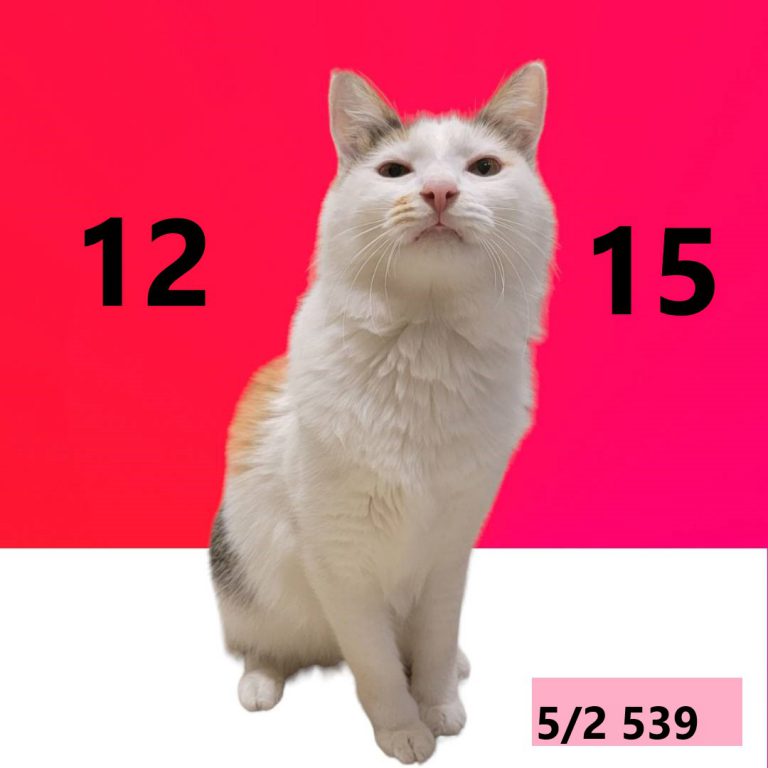 1414