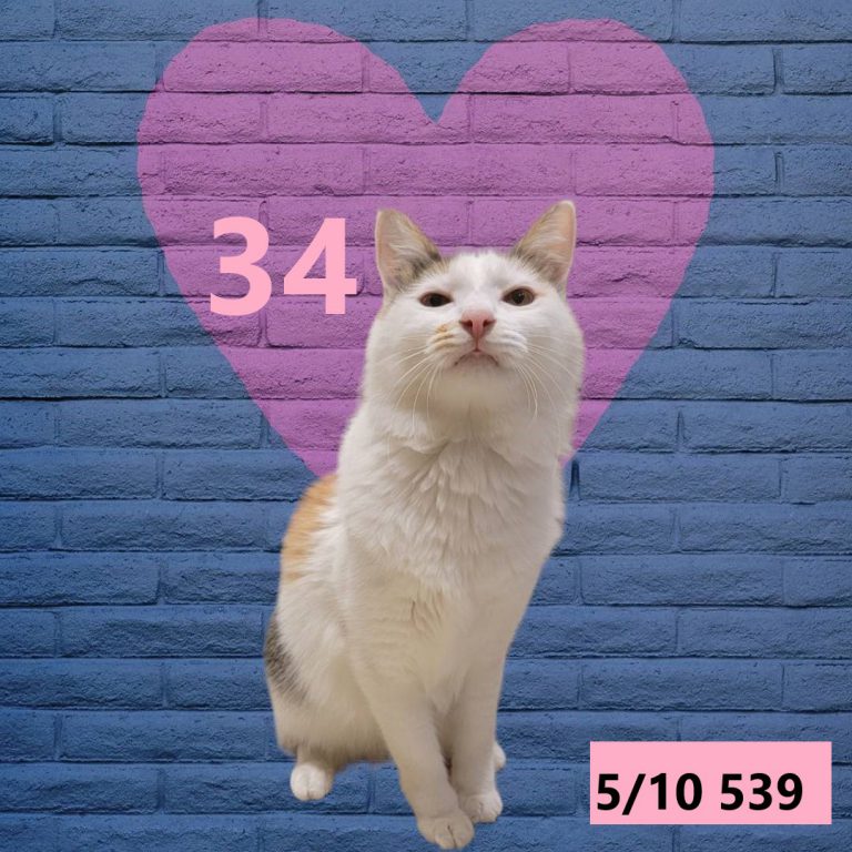 1414-9
