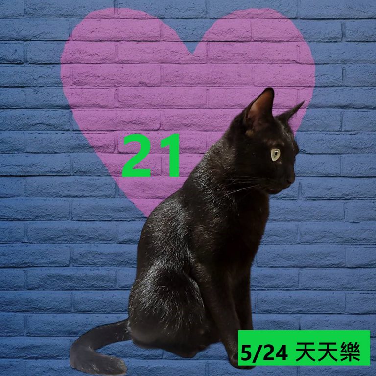 23453453