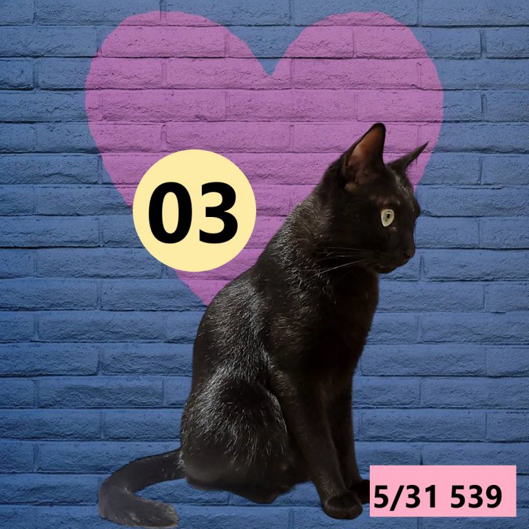 245245-1
