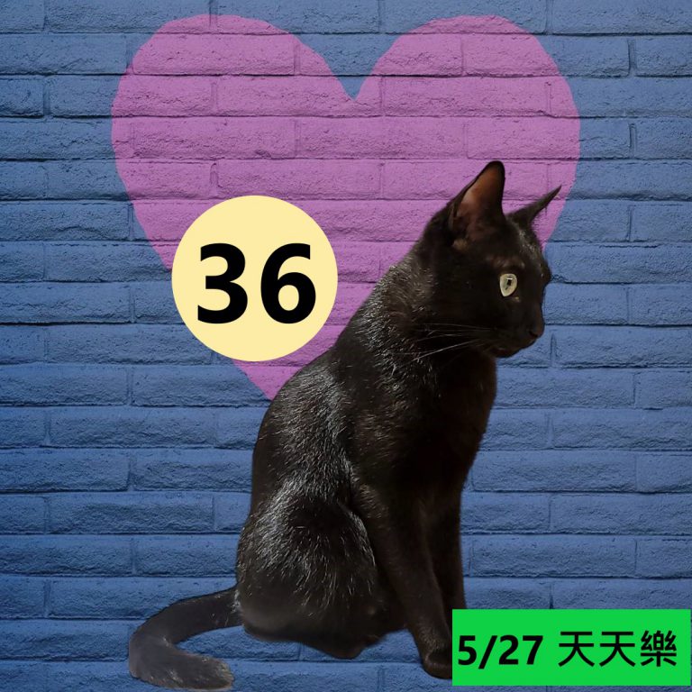 2453543-2