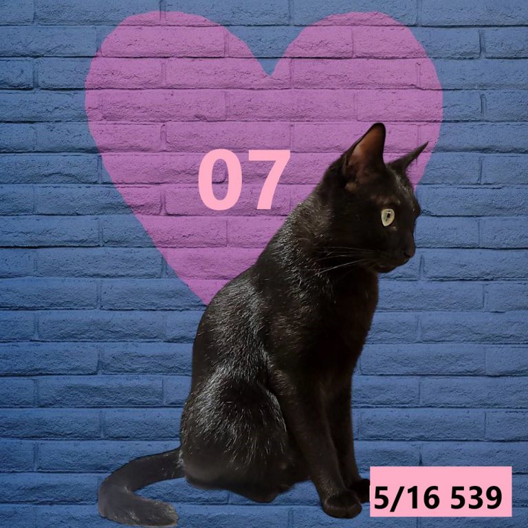254252-7