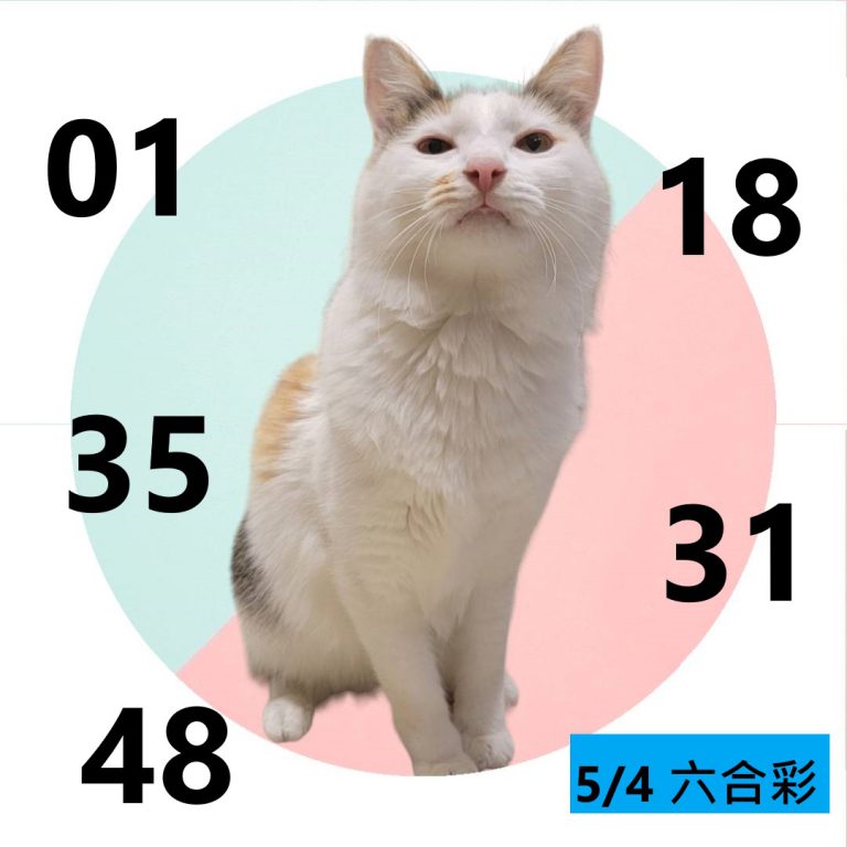 425242-1