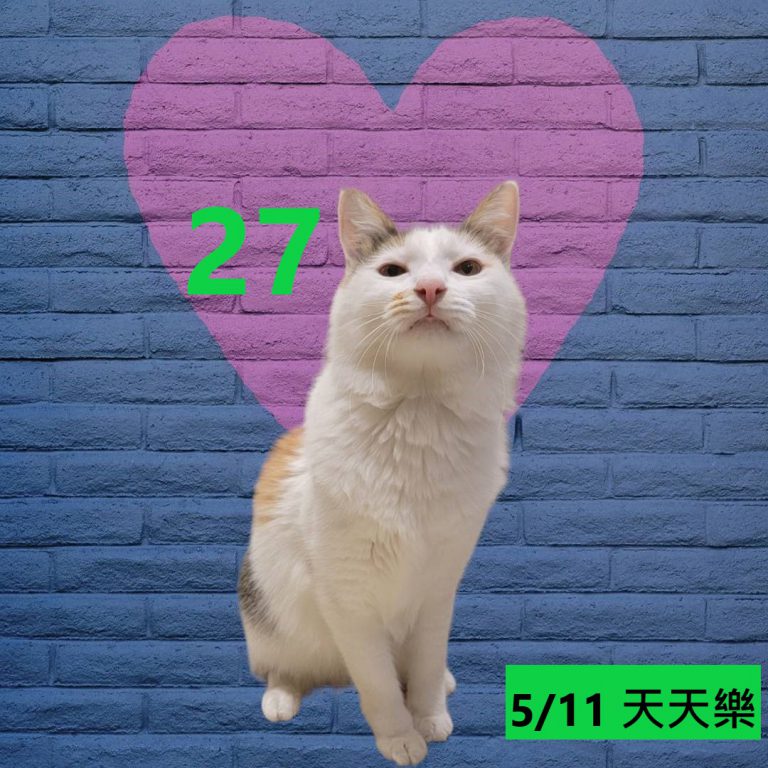 425242-3