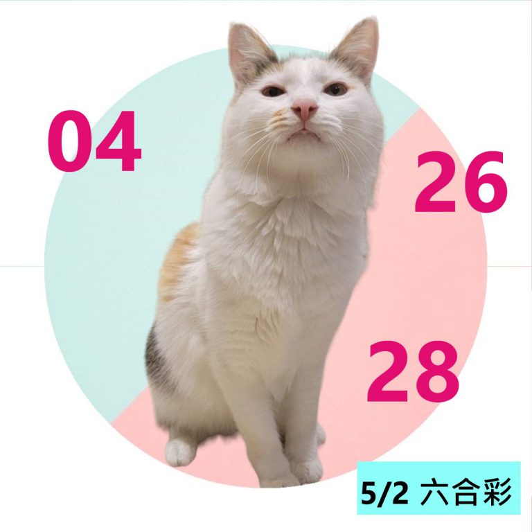 425242