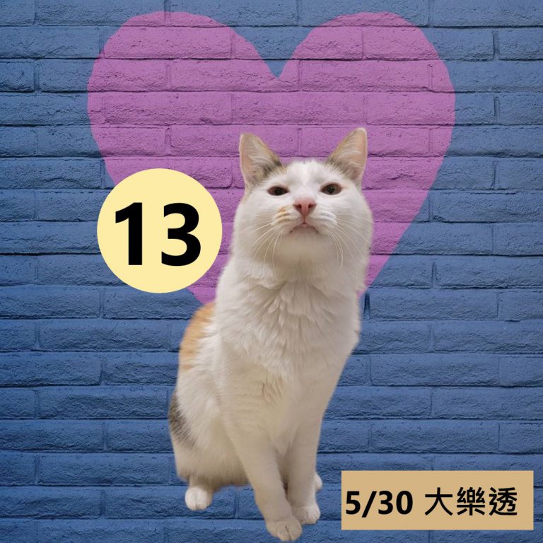 43245