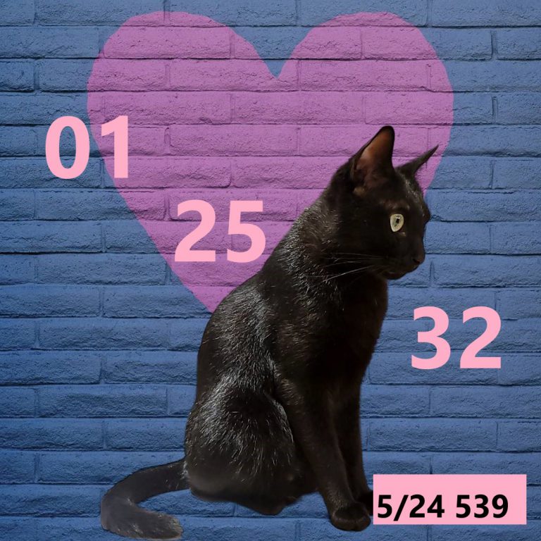 4325434-3
