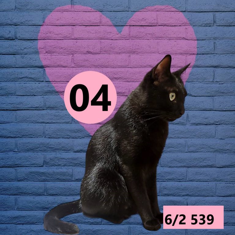 111111-1