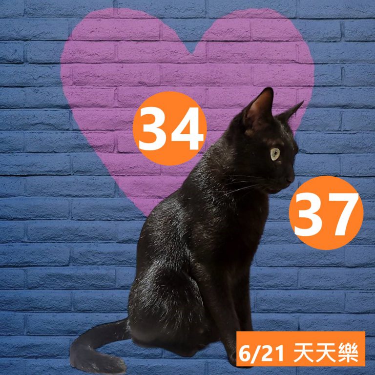 24242-12