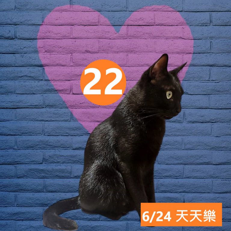 24242-13