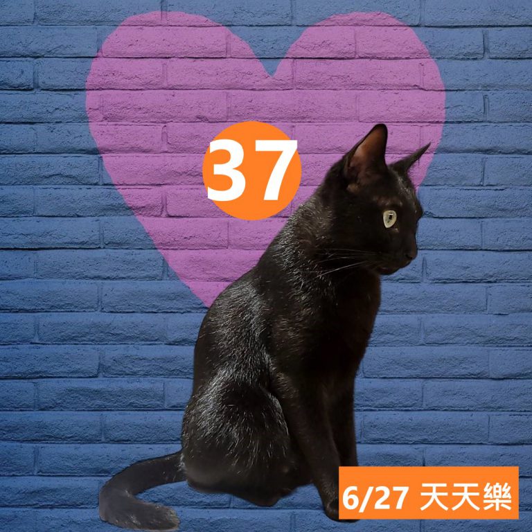 24242-16