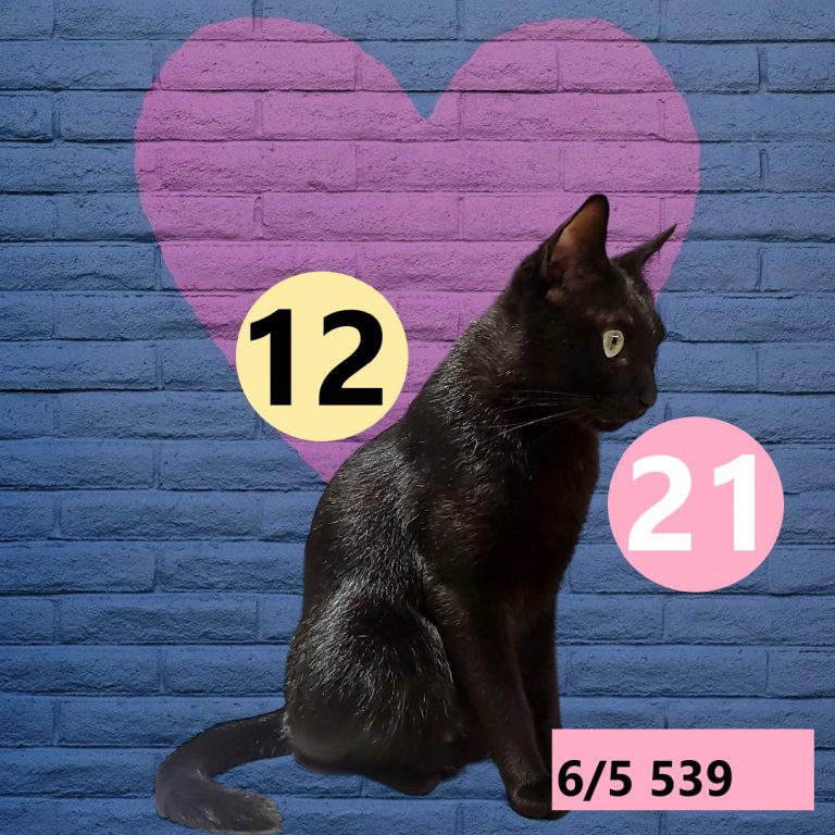 24242-3