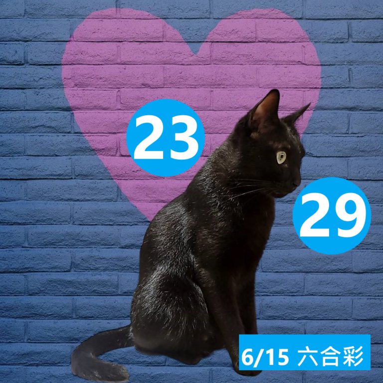 24242-9