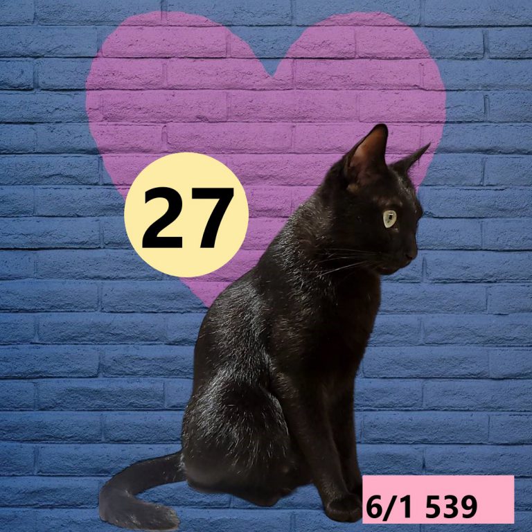 245245