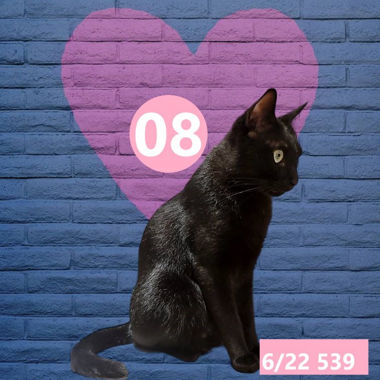 254245-13