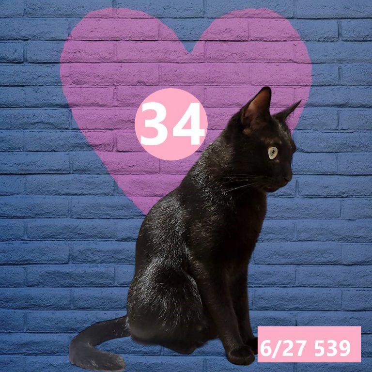 254245-17