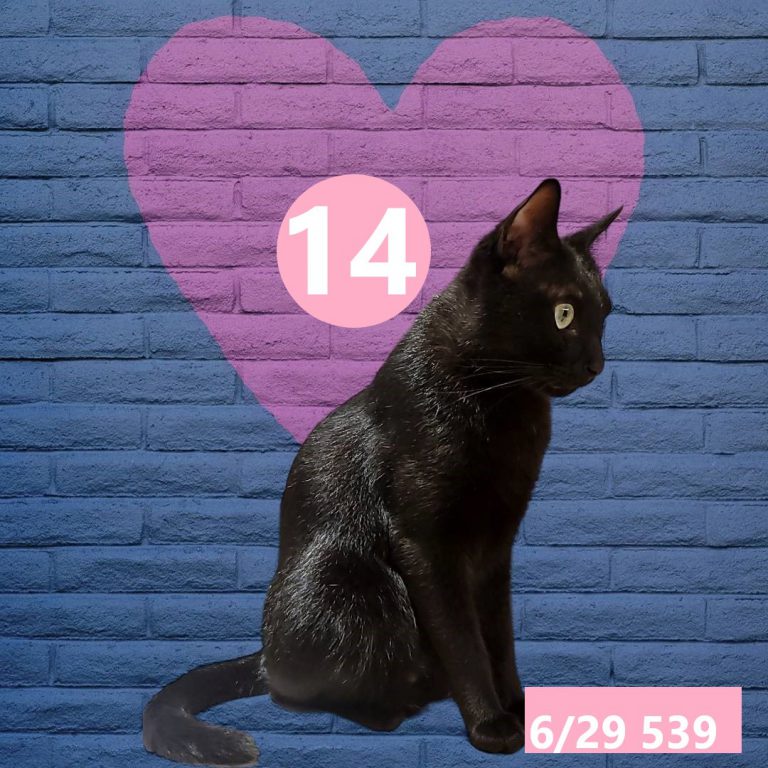 254245-19