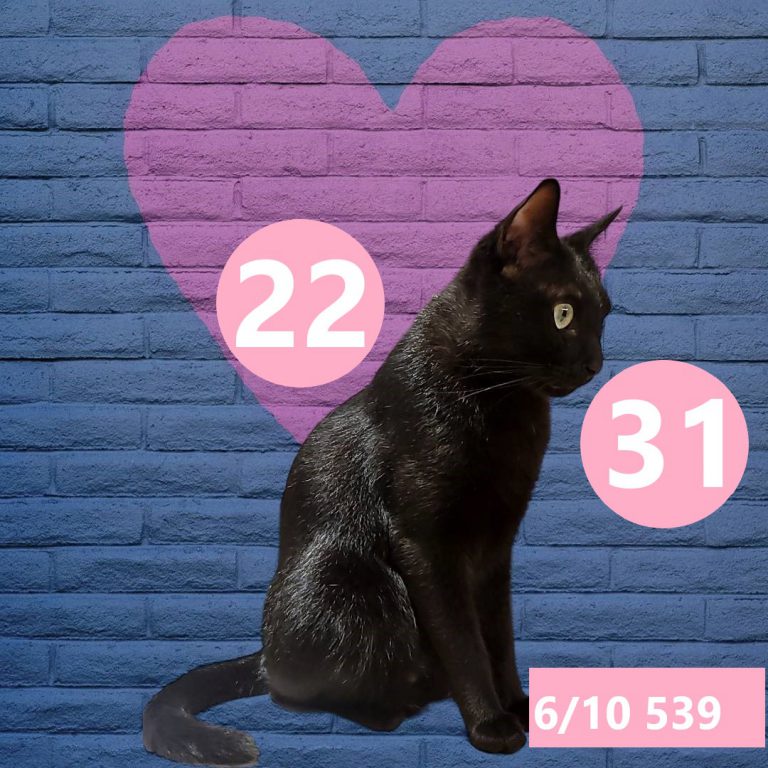 254245-3
