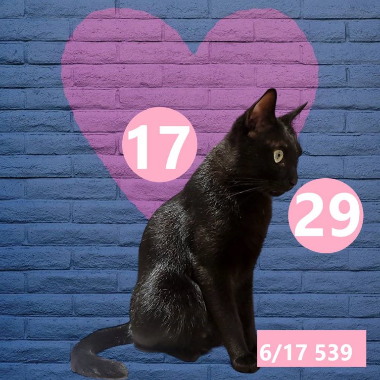 254245-9