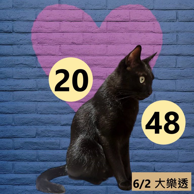 43245