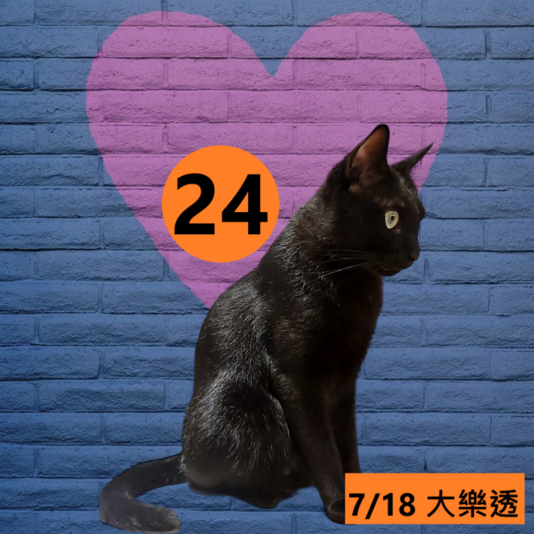 111-1