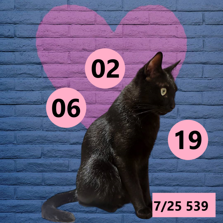 111-2