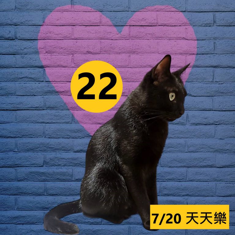 24242-18