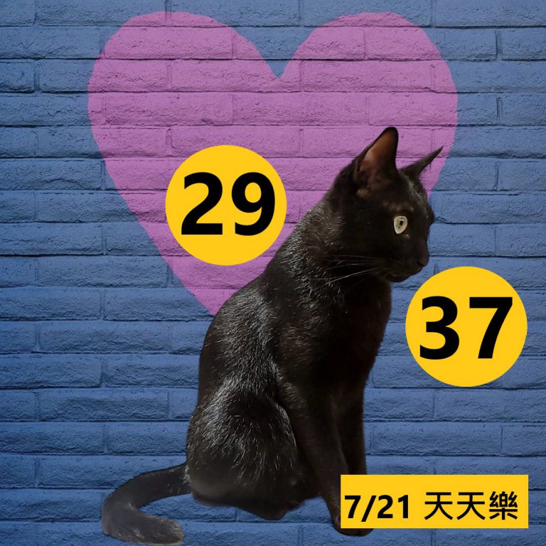24242-19