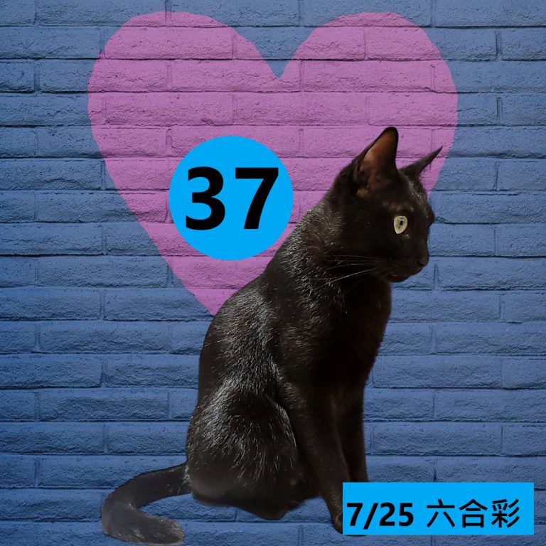 24242-21