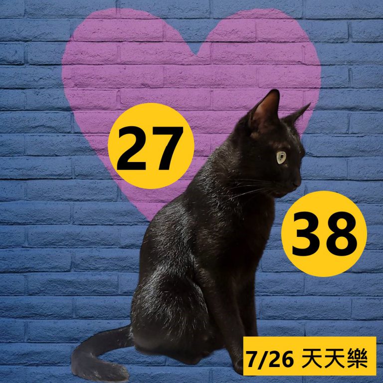 24242-23